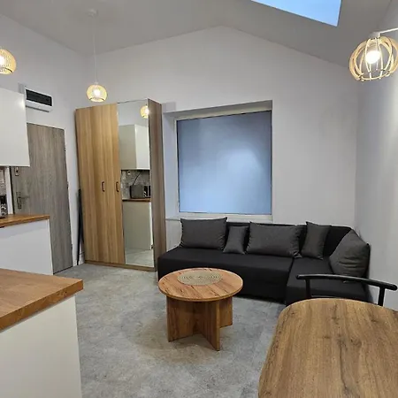 公寓 Fieldorfa House 奥斯特罗文卡